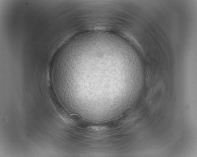 X0000074290251200609222316