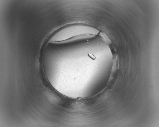 X0000074290252200609222316