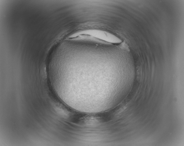 X0000074290254200609222316