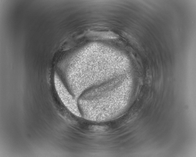 X0000074290255200609222316