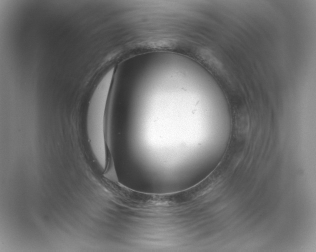 X0000074290260200609222316