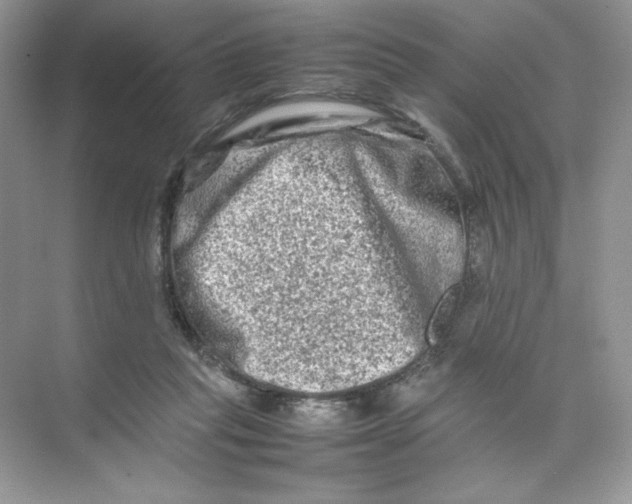 X0000074290261200609222316