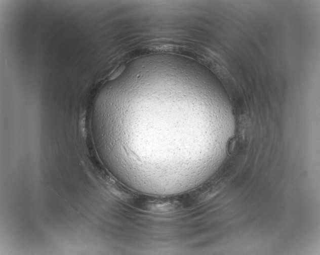 X0000074290267200609222317