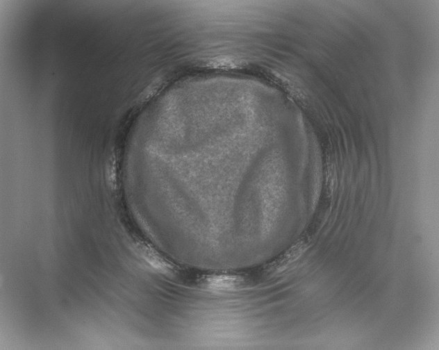 X0000074290268200609222317