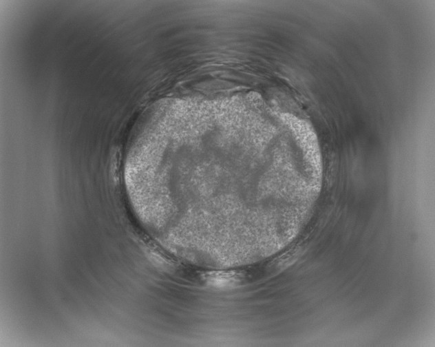 X0000074290273200609222317