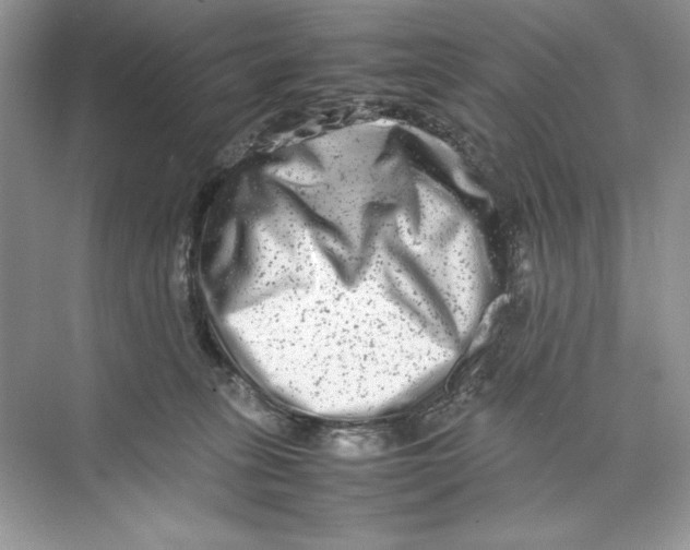 X0000074290275200609222317