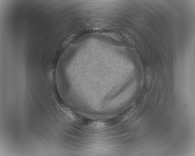 X0000074290276200609222317