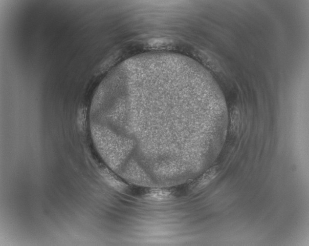 X0000074290278200609222317