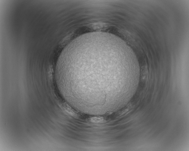 X0000074290279200609222317