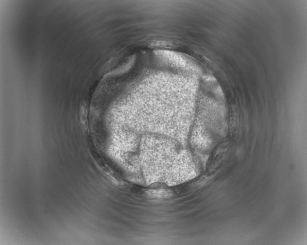 X0000074290281200609222317