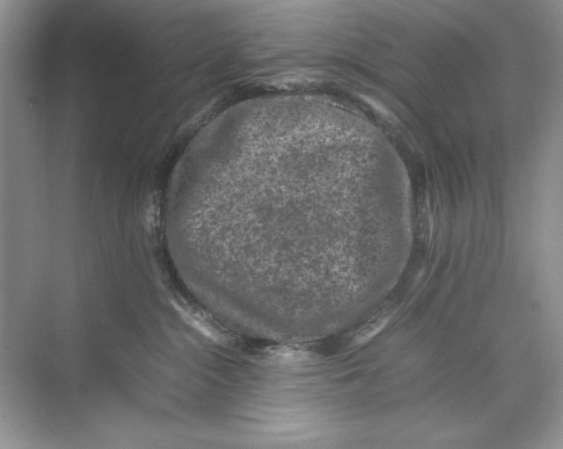 X0000074290284200609222317