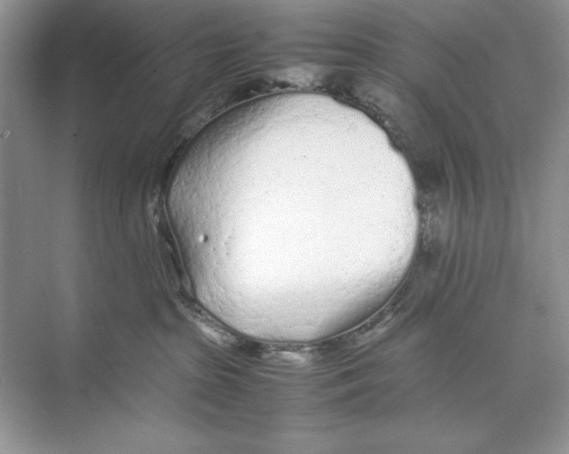 X0000074290285200609222317