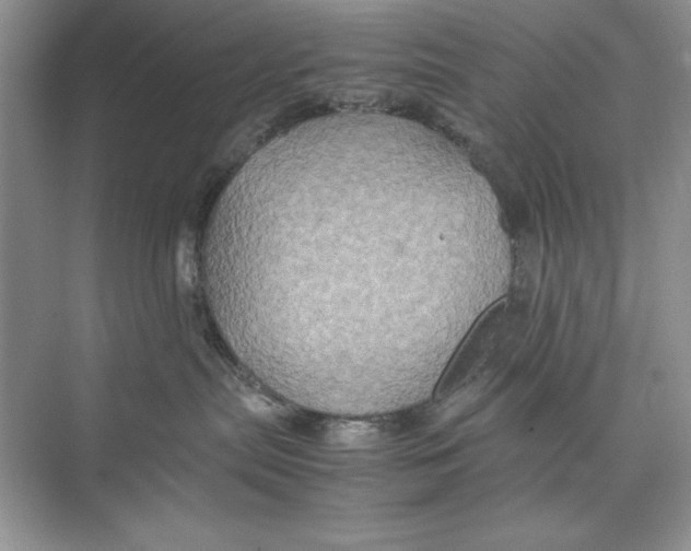 X0000074290287200609222317