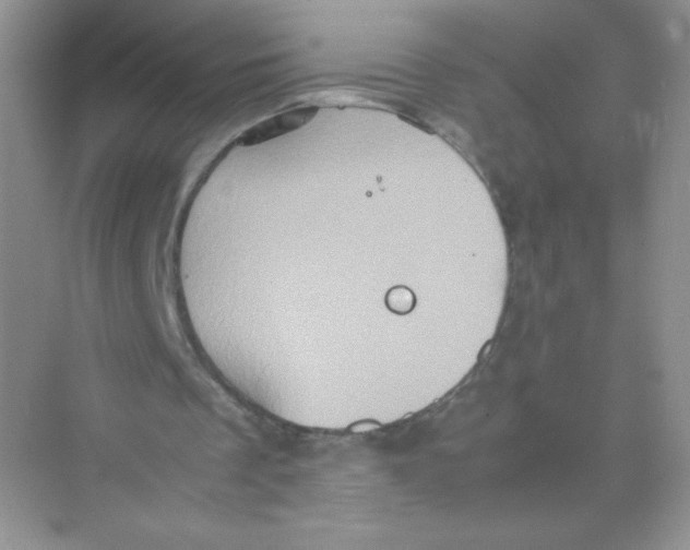 X0000074290289200609222316