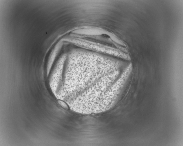 X0000074290290200609222316