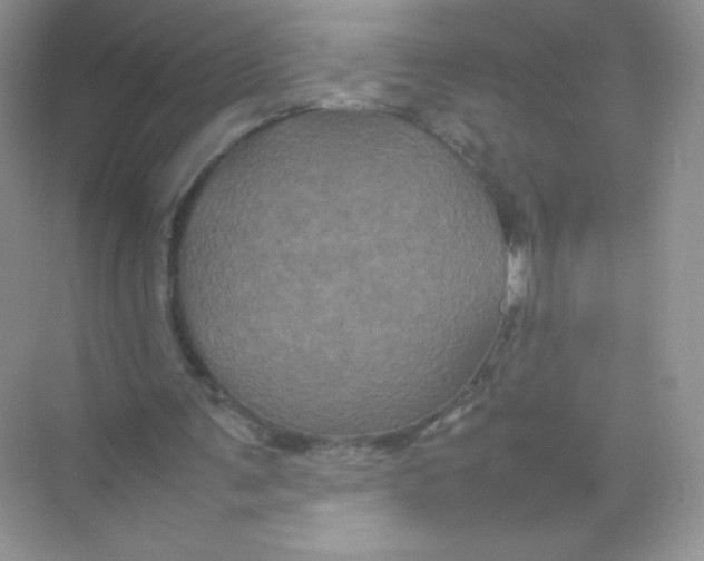 X0000074290291200609222316