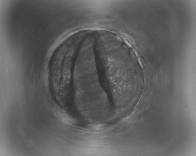 X0000074290295200609222316