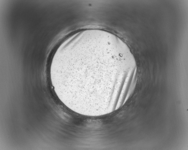 X0000074290296200609222316