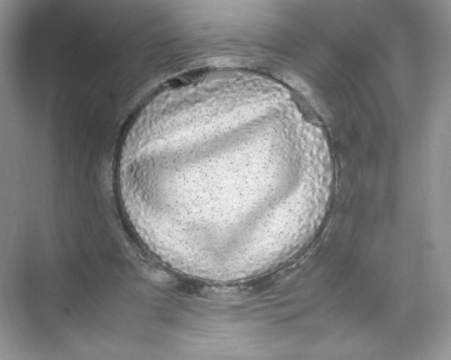 X0000074290297200609222316