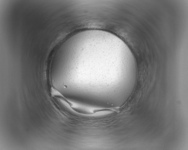 X0000074290299200609222316