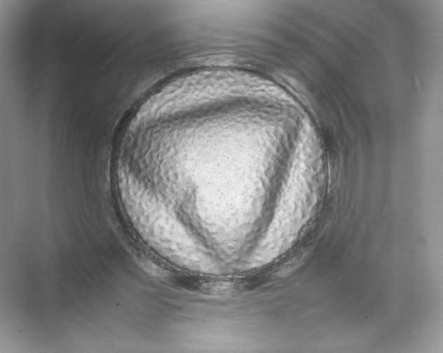 X0000074290301200609222316