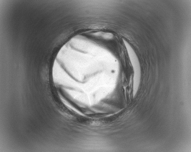 X0000074290303200609222316