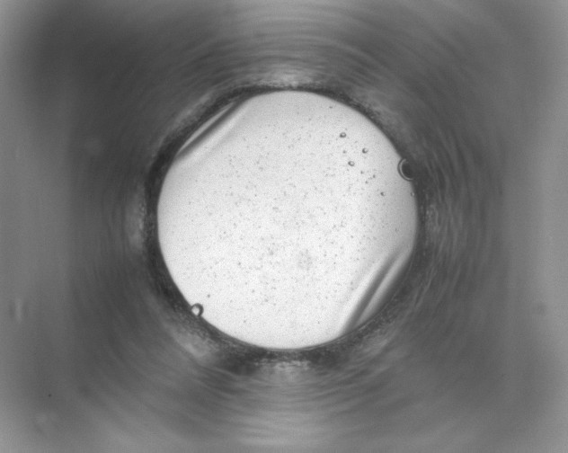 X0000074290304200609222316