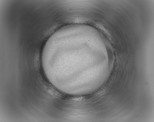 X0000074290306200609222316