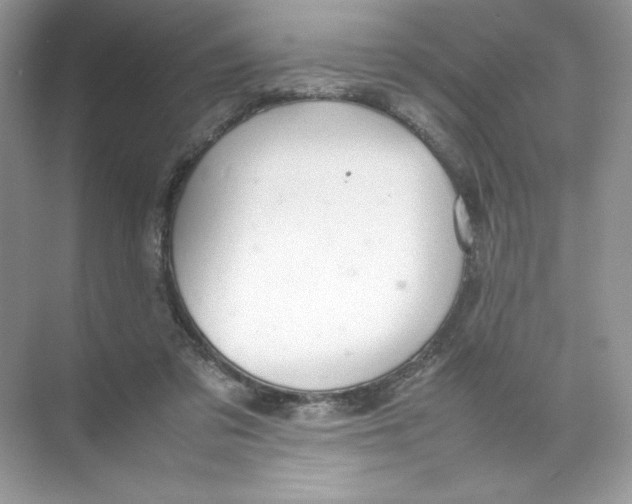 X0000074290309200609222316