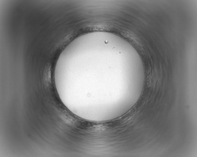 X0000074290310200609222316