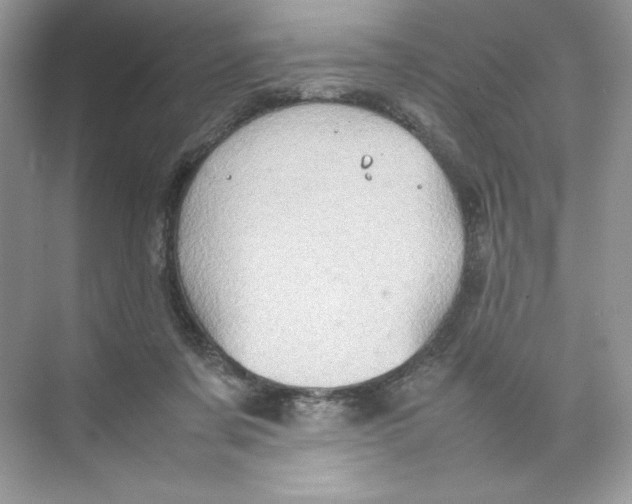 X0000074290311200609222316