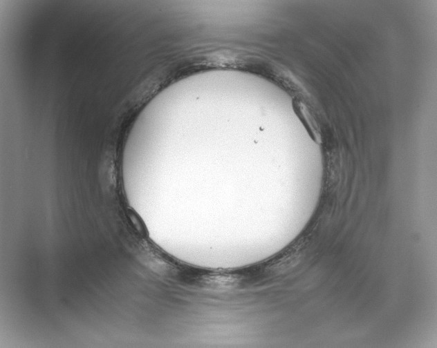 X0000074290313200609222316