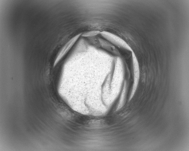 X0000074290314200609222316