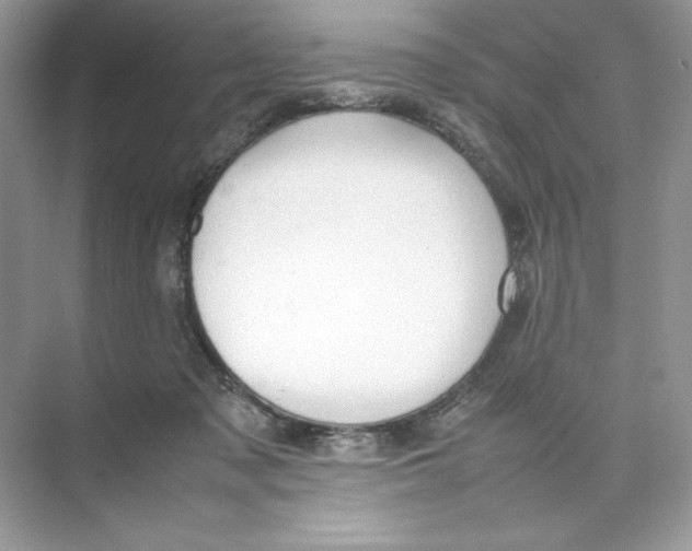 X0000074290317200609222316