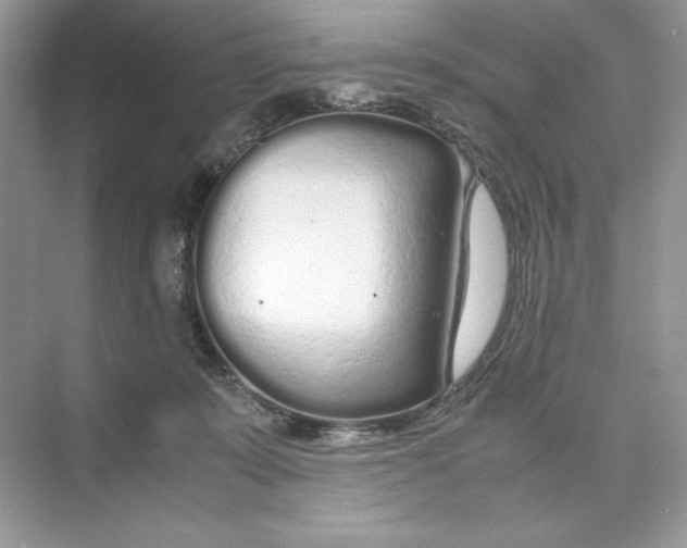 X0000074290319200609222316