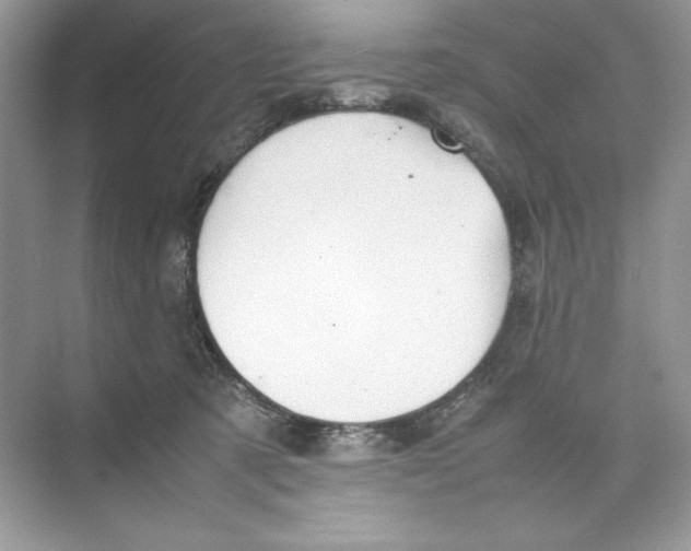 X0000074290321200609222316