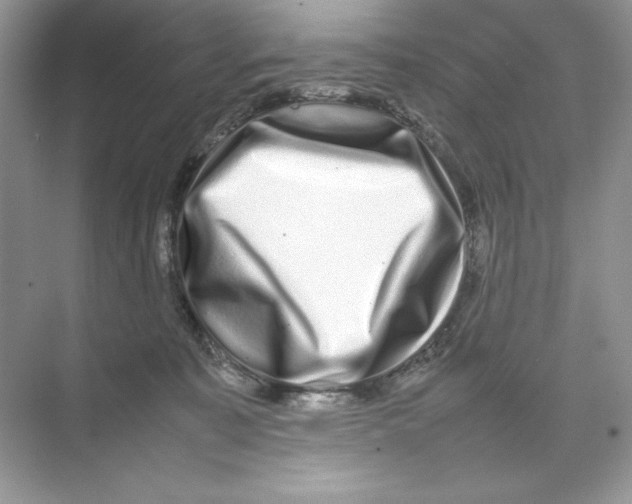 X0000074290323200609222316