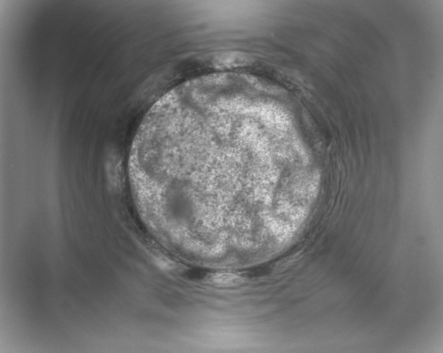 X0000074290327200609222315