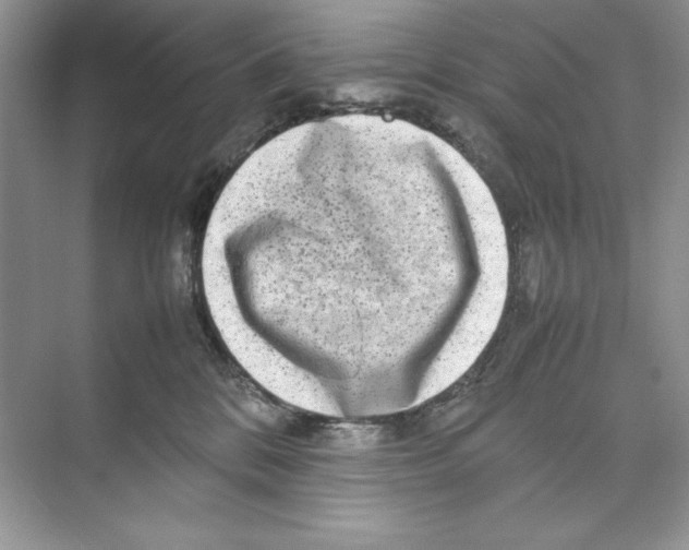 X0000074290328200609222315