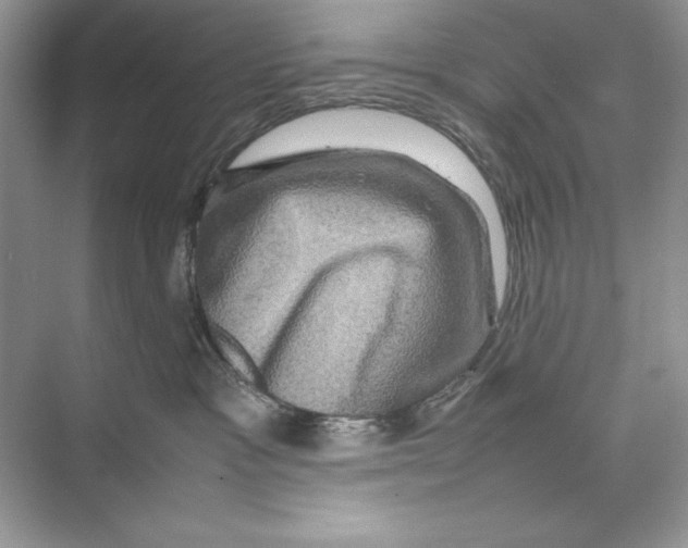 X0000074290333200609222315