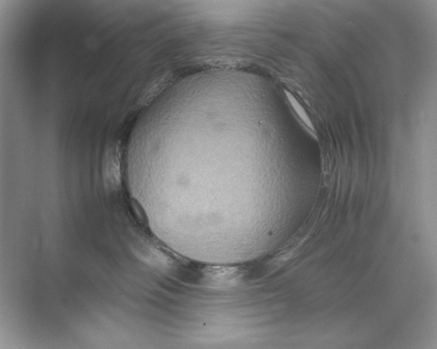 X0000074290334200609222315