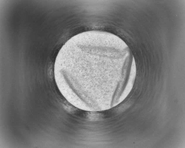 X0000074290336200609222315