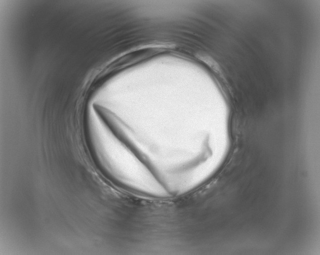 X0000074290337200609222315