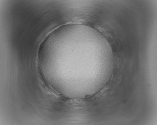 X0000074290338200609222315