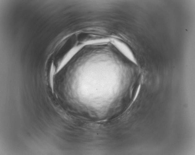 X0000074290339200609222315