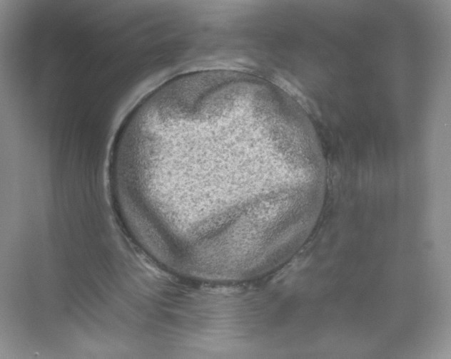 X0000074290340200609222315