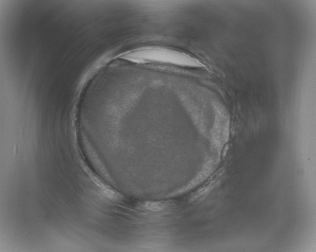 X0000074290341200609222315