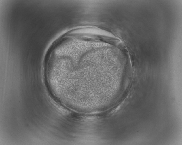 X0000074290342200609222315