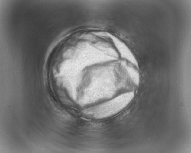 X0000074290343200609222315