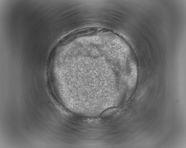 X0000074290345200609222315